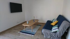 Salon avec TV